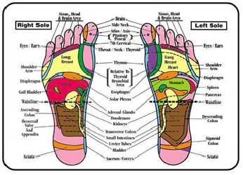 Eunice Ingham Reflexology Chart